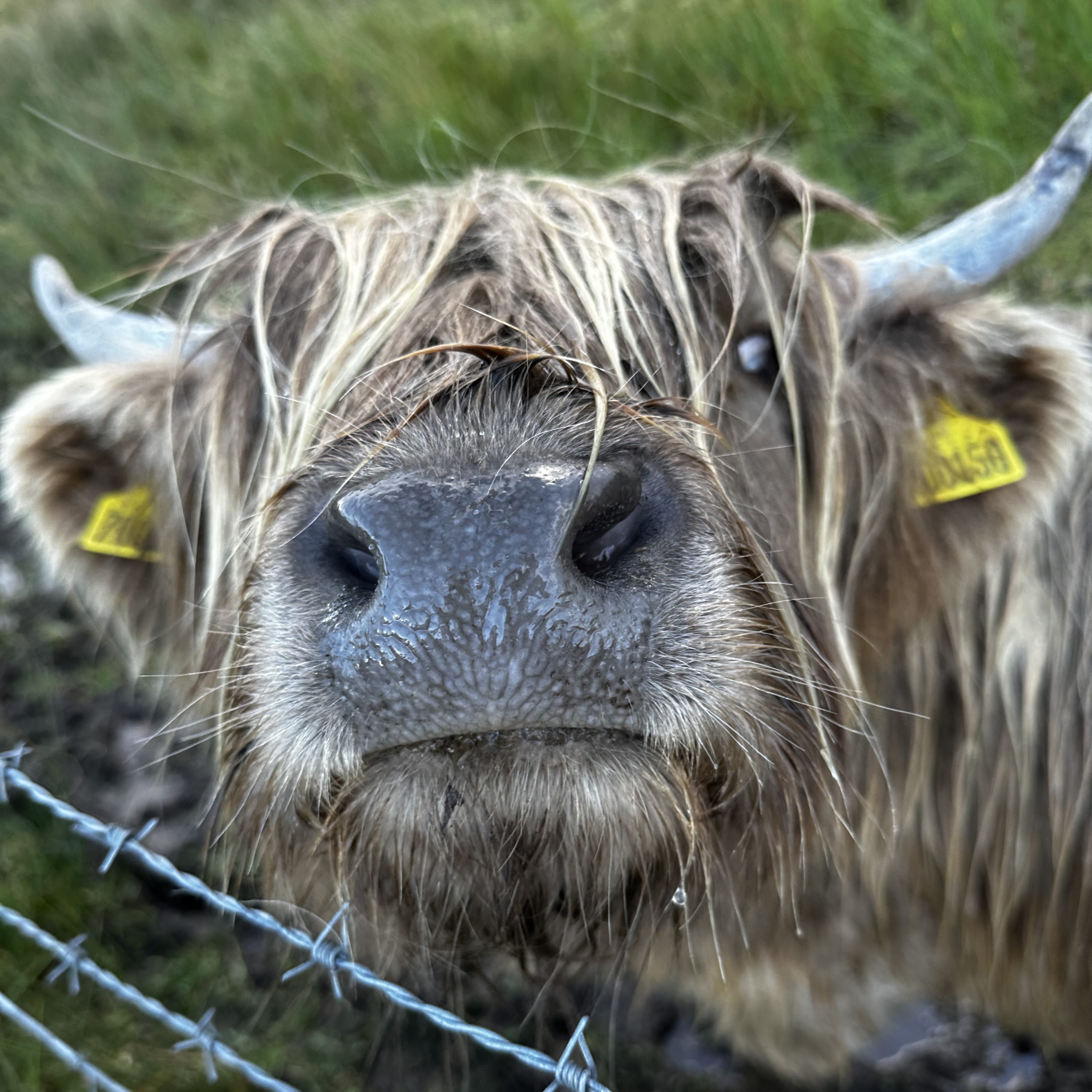 Schotland Road-trip 2022